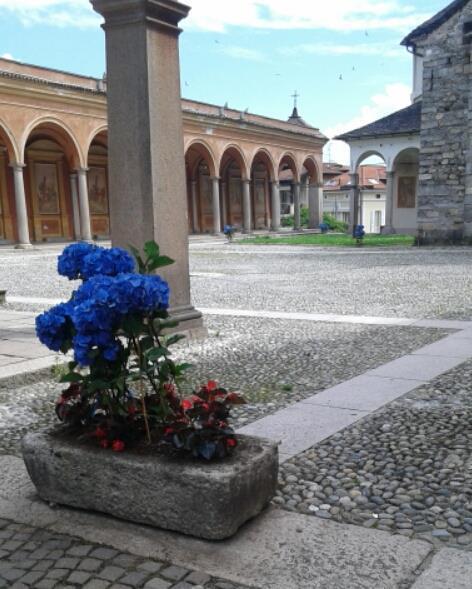 فندق هوتل إلفيزيا Lake Maggiore المظهر الخارجي الصورة